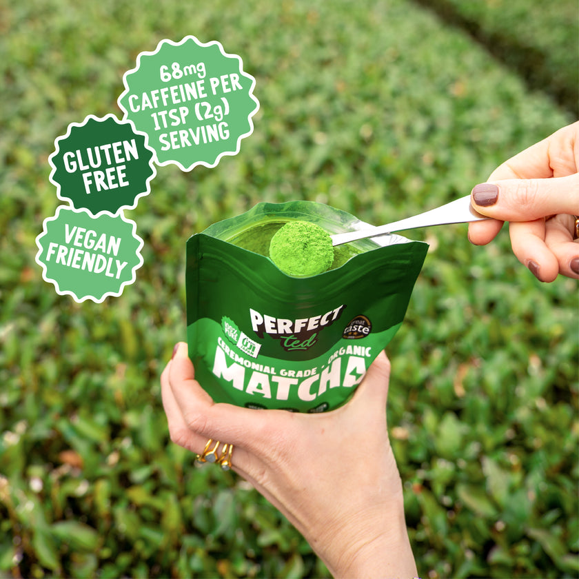 Matcha Filter Original Matcha – PerfectTed