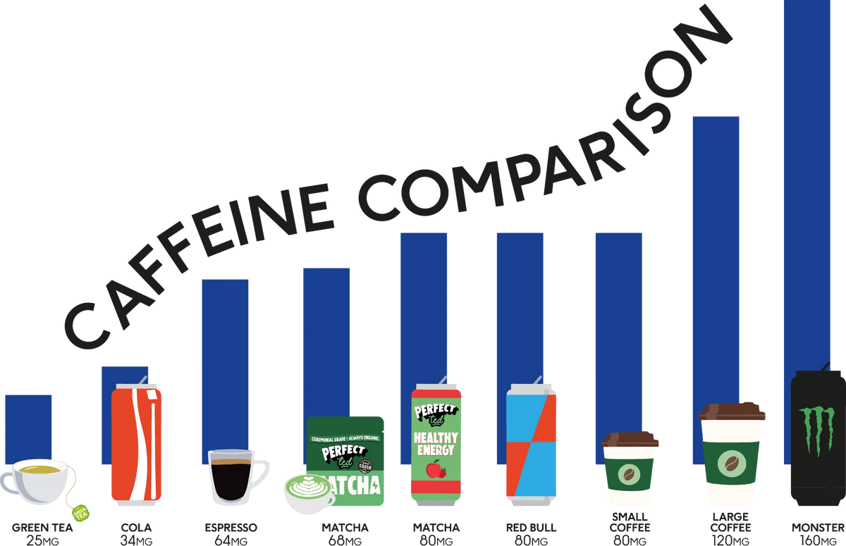 Matcha 101 PerfectTed
