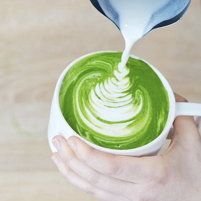 PerfectTed matcha being used to make feather latte art