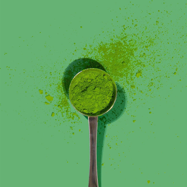 PerfectTed Matcha scoop on bright green background