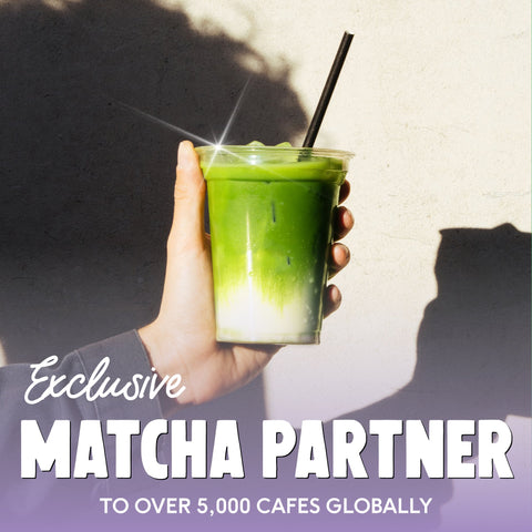 Blueberry Matcha Powder - PerfectTed - Matcha Powder