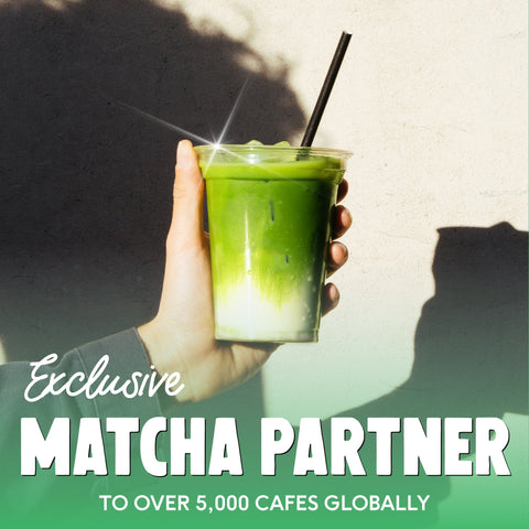 Ceremonial Grade Matcha - PerfectTed - Matcha Powder