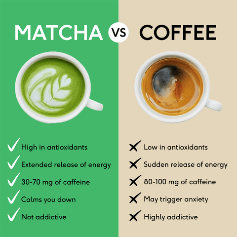 Fresh Mint Matcha Powder - PerfectTed - Matcha Powder