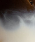 hojicha powder - PerfectTed -
