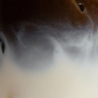 hojicha powder - PerfectTed -