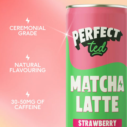 Matcha Latte Bundle - PerfectTed - Matcha Latte