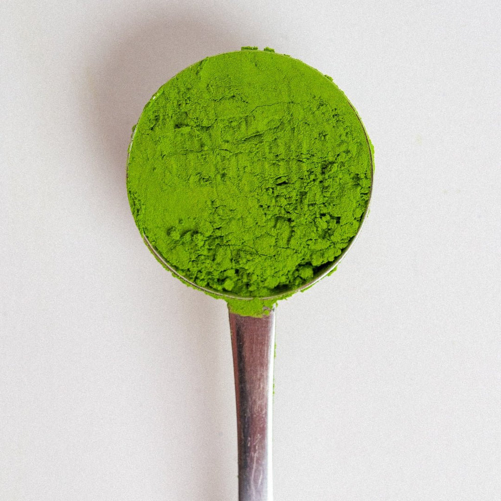 perfect scoop - PerfectTed - Teaware