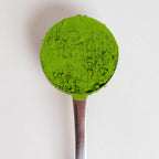 perfect scoop - PerfectTed - Teaware