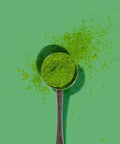 Perfect Scoop - PerfectTed - Teaware