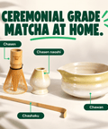 perfect ted butter yellow matcha set - PerfectTed -