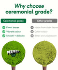 protein matcha latte - white chocolate - PerfectTed - Matcha Latte