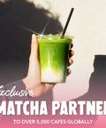 Strawberry Bundle - PerfectTed - Matcha Powder