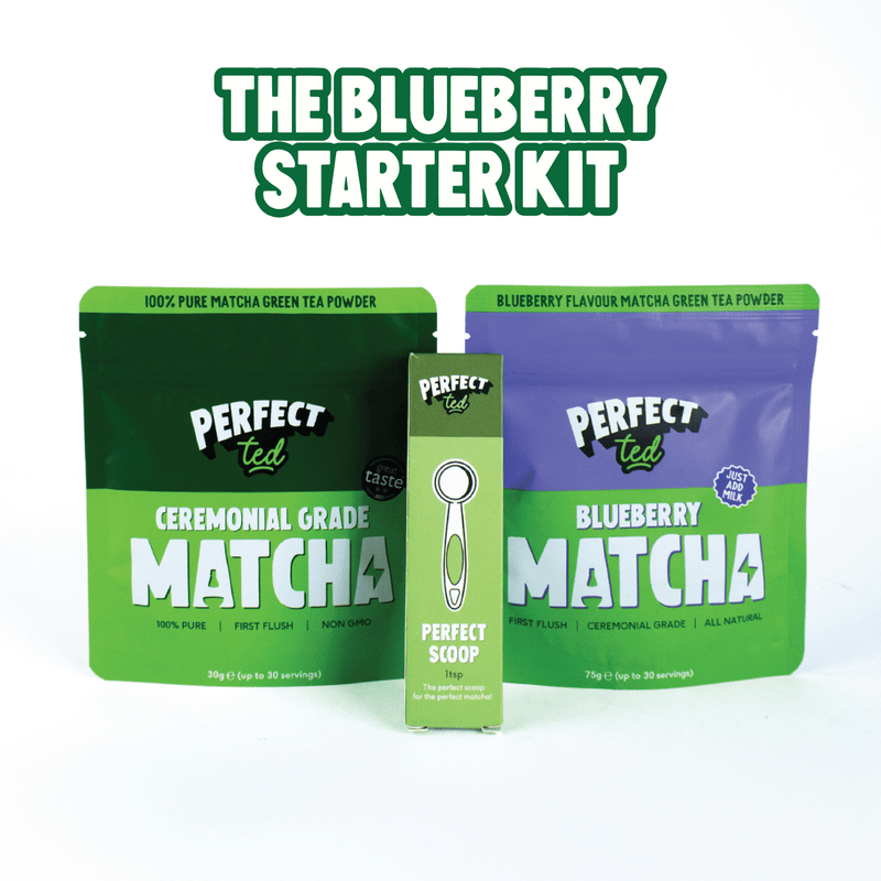 the blueberry starter kit